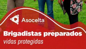 Más de 200 brigadistas participaron en jornada de fortalecimiento físico y capacitación en Celta Trade Park Uno