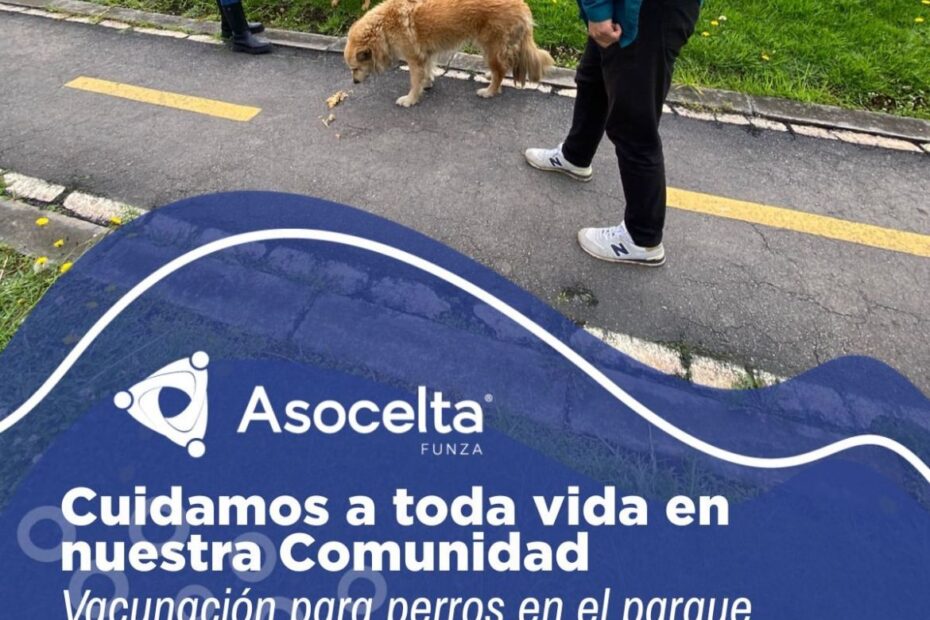 Jornada de vacunación canina en Celta Trade Park Uno en alianza con la Alcaldía de Cota